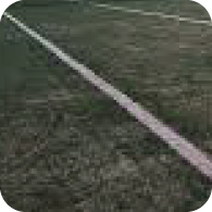 Sand Grass image one